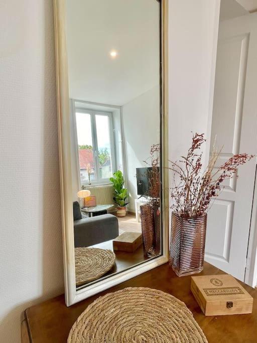 1 Appartement 3P Ideal Famille Travail Renove Lumineux Parking Gratuit Mülhausen Exterior foto